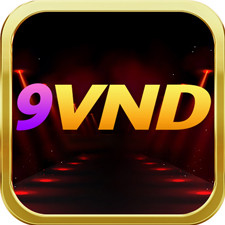 9VND lol Profile Picture