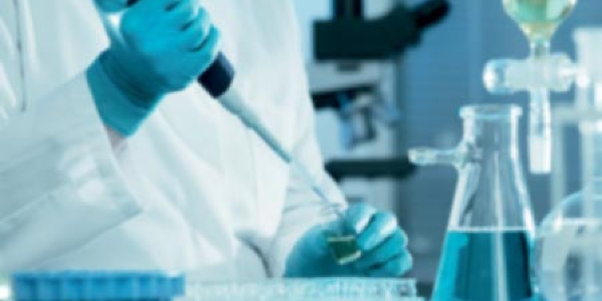Precision Diagnostics Market Size, Growth & Industry Research Report, 2032