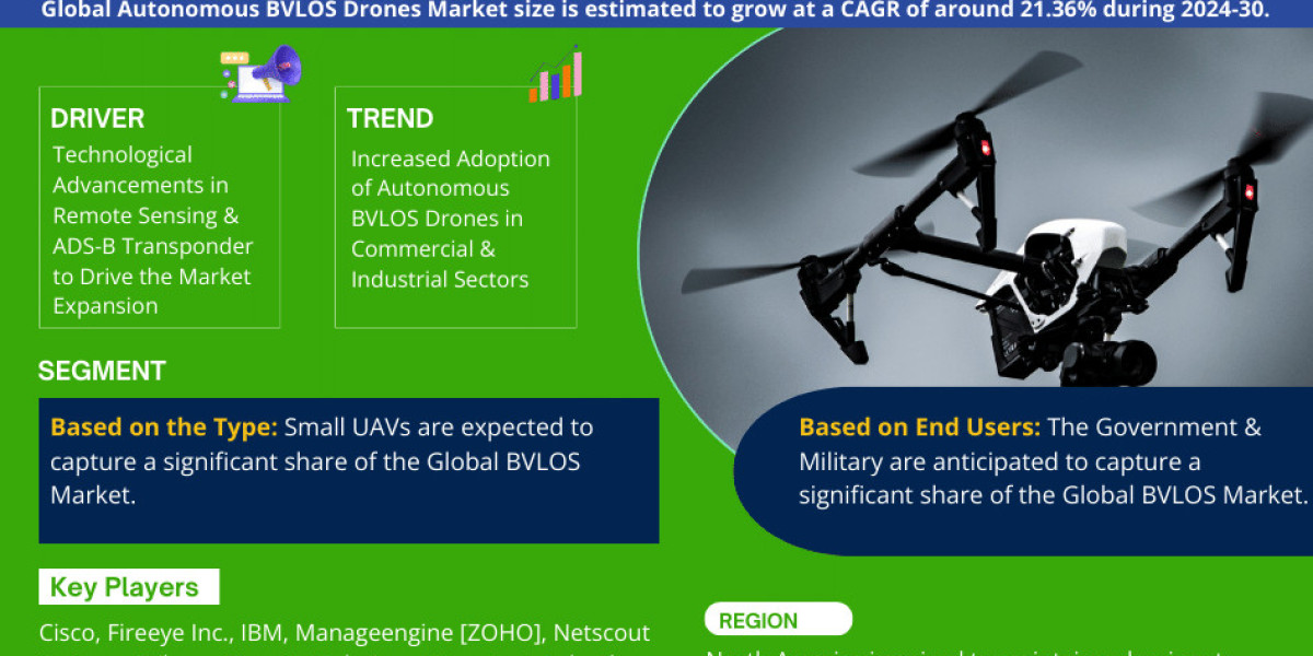 Autonomous BVLOS Drones Market, one segements, will exhibit a CAGR of 1.73% by 2030