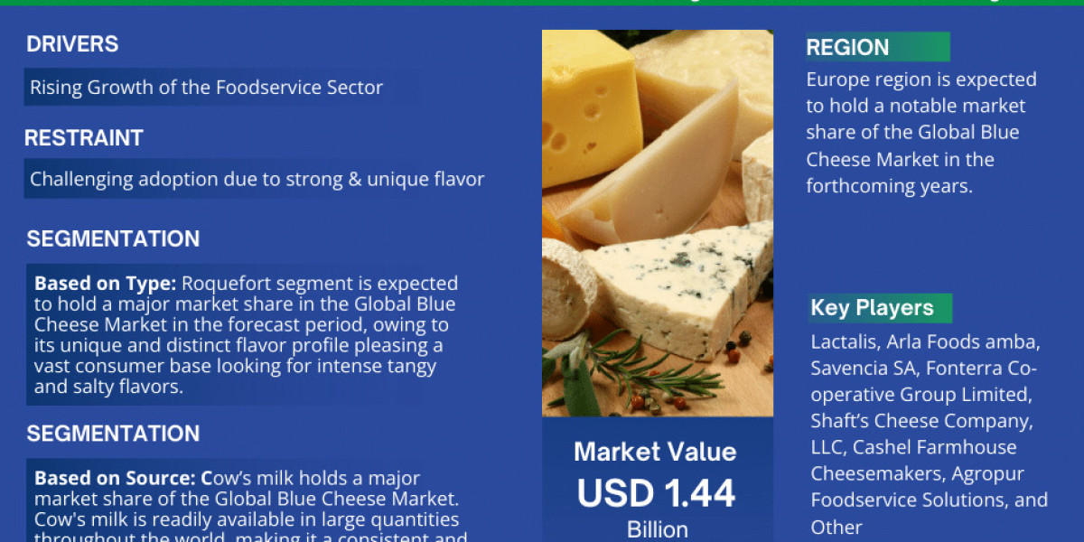 Blue Cheese Market to Grasp Excellent Growth by 2030