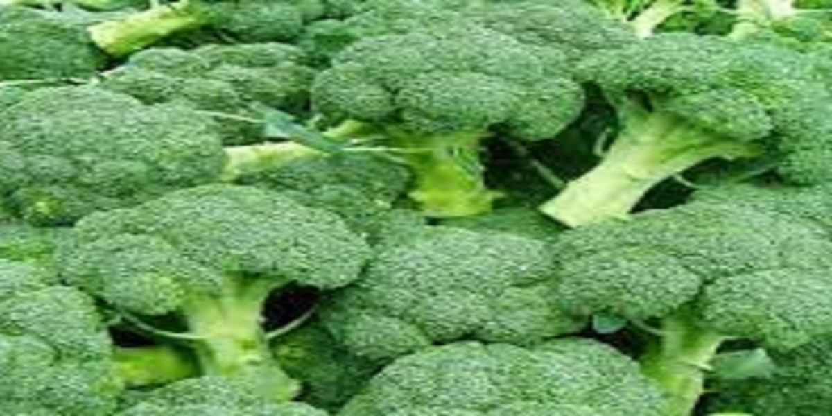 Broccoli Extract Market Trends, Share, Demand & Growth Analysis Report to 2032