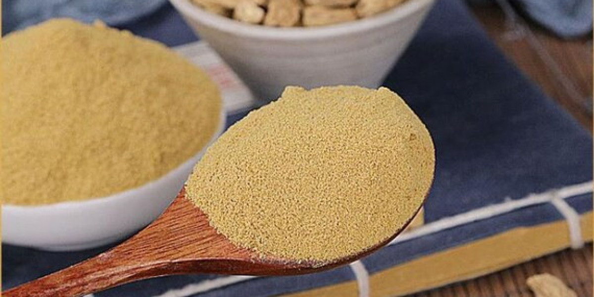 Dang Shen Powder Market Size, Outlook Research Report 2023-2032