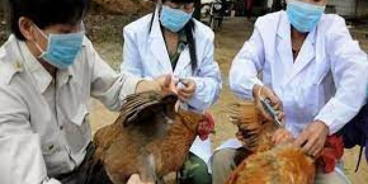 Avian Flu Treatment Market Report, Latest Trends, Industry Opportunity & Forecast