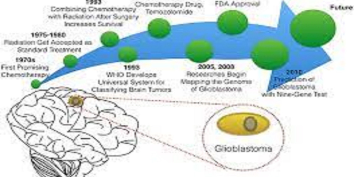 Global Glioblastoma Treatment Drugs Market Report, Latest Trends, Industry Opportunity & Forecast