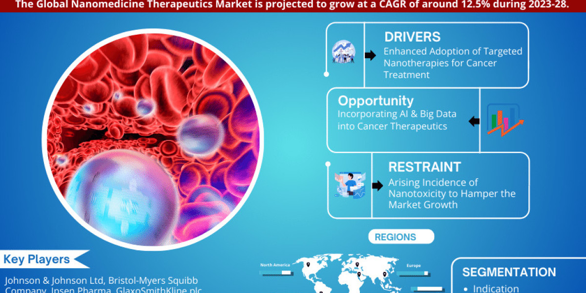 By 2028, the Nanomedicine Therapeutics Market will expand by Largest Innovation Featuring Top Key Players