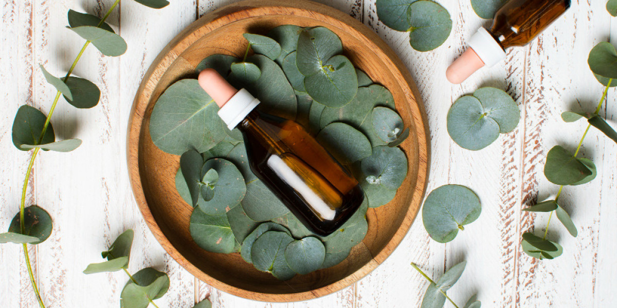 Eucalyptus Essential Oil Market End-user Adoption Trends & Regulatory Landscape by 2032