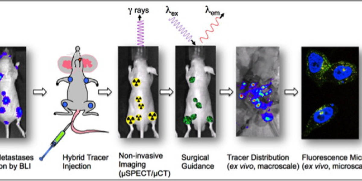 Multimodal Imaging Market Revenue, Company Profile, Key Trend Analysis & Forecast, 2024–2030