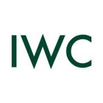 Indian Website Company profile picture