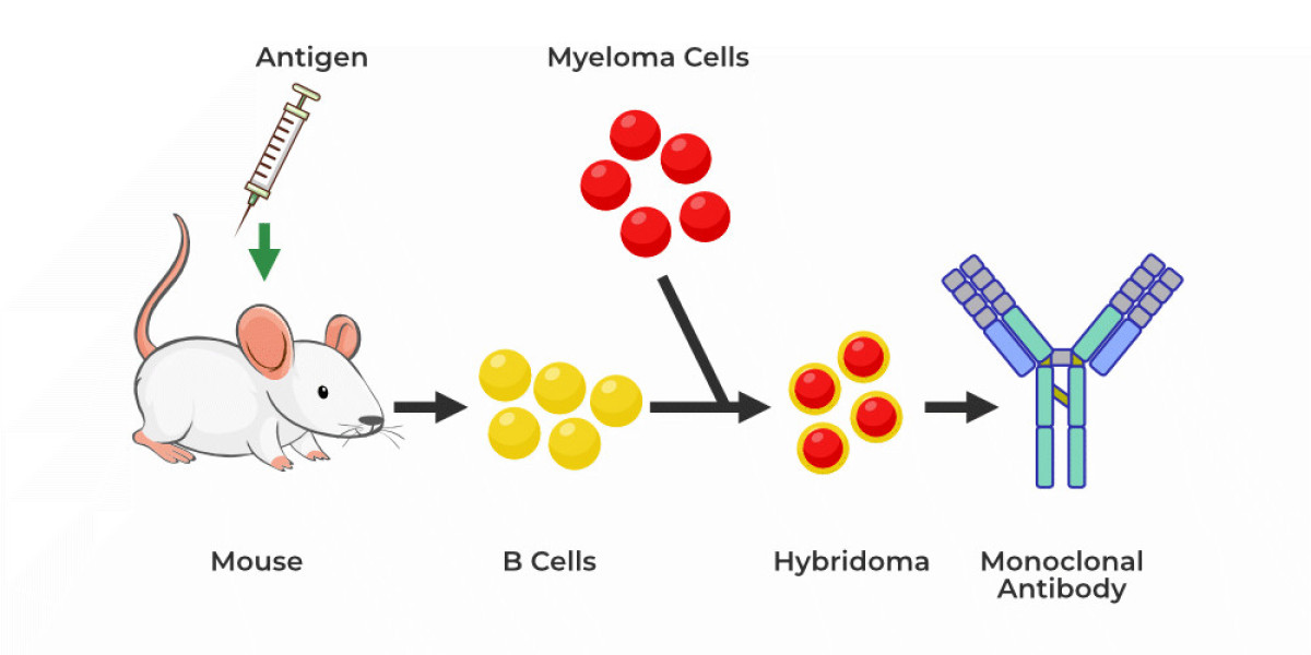 Monoclonal Antibodies Market Size, Dynamics & Forecast Report