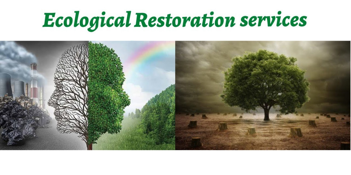 Ecological Restoration Service Market Size, Share, Regional Overview and Global Forecast to 2032