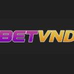 betvnd profile picture