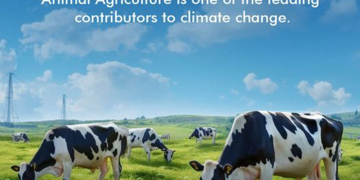 Animal abuse in agricultureUn Sombre Réalité à Connaître