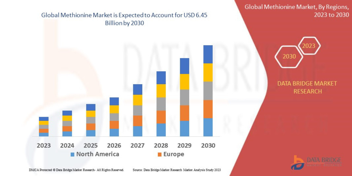 Methionine Market Understanding Size and Growth: Analytical Overview, Demand Factors, and Trend Analysis