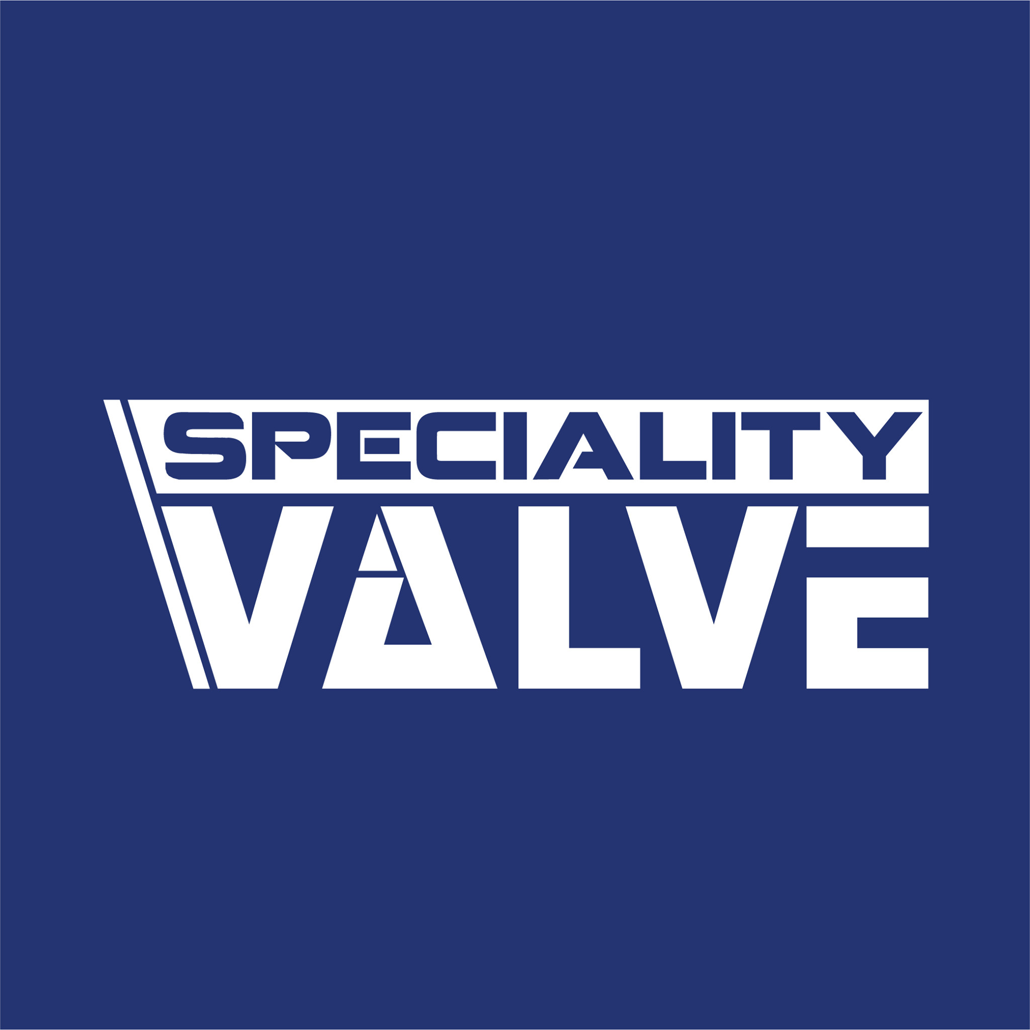 Speciality Valve Profile Picture