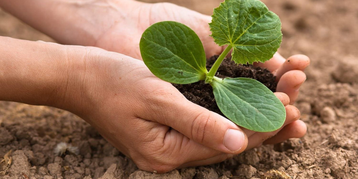 Global Agriculture Analytics Market Share, Latest Trades and Growth Analysis Report Till 2032