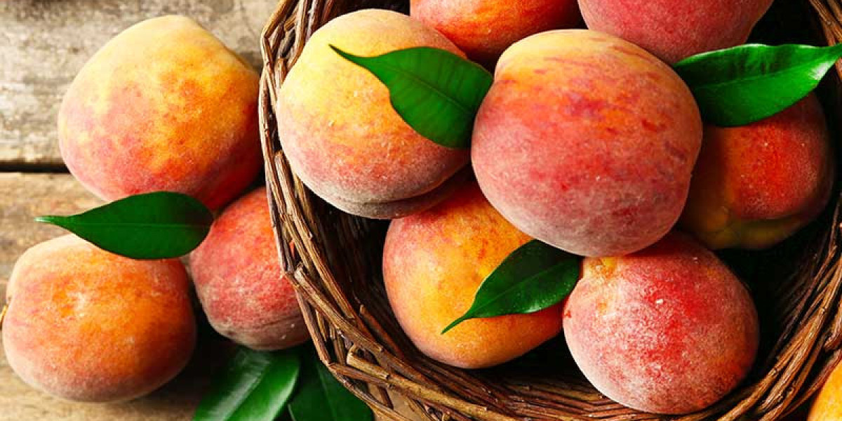 Peach Skin Market Key Players, Share & Forecast Report