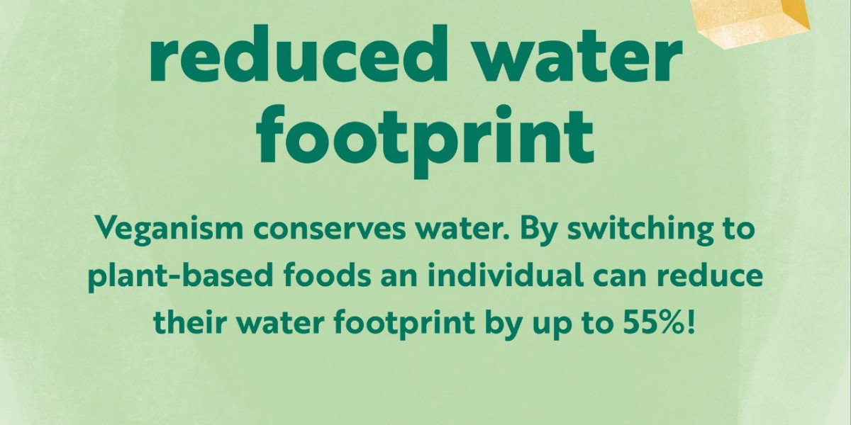 Plant-based protein sources Découvrez des Alternatives Savoureuses et Saines
