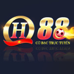QH88 88 profile picture