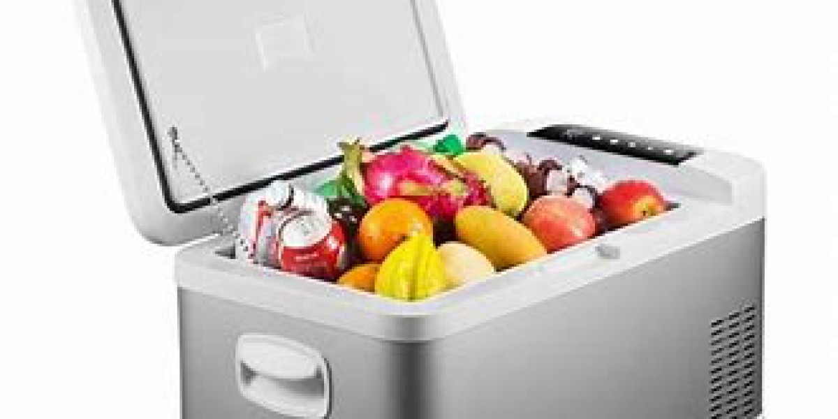 Compressor Type Car Refrigerator Market Insight | Outlook | Growth Analysis Report