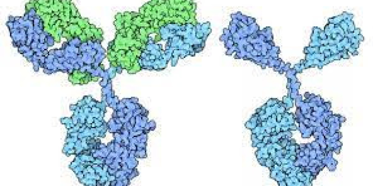 Nanobodies Market – Fastest Growth Demand and Forecast Analysis Report