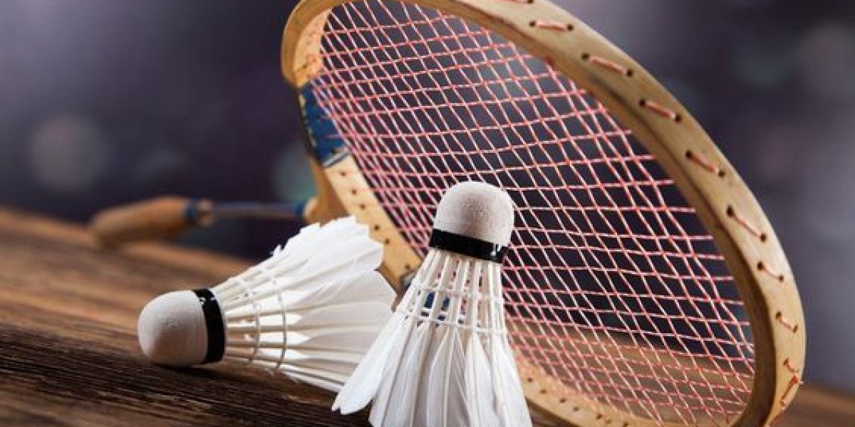 Badminton Equipment And Products Market Size, In-depth Analysis Report and Global Forecast to 2032