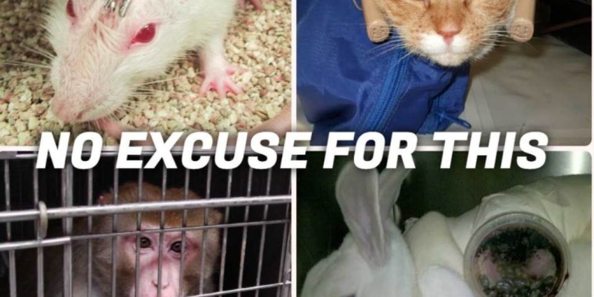 প্রোটিন মিথক নিরাকরণ