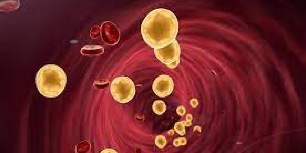 Lipid Disorder Treatment Market Major Key Players and Industry Analysis