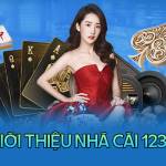 123b profile picture