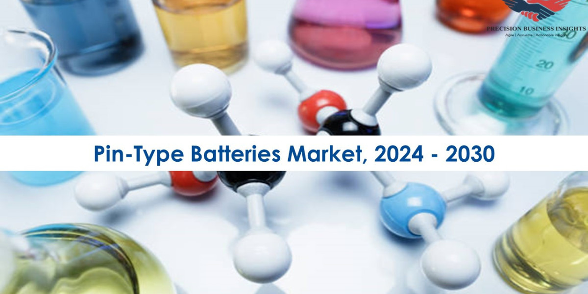 Pin-Type Batteries Market Research Insights 2024 - 2030