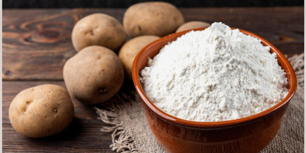 Starch Market   Comprehensive Research Methodology, Key Insights, Segments and Extensive Profiles by 2029