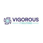 Vigorous IT Solutions Profile Picture