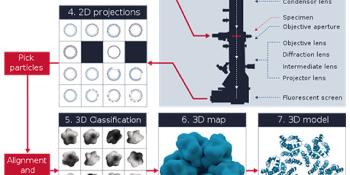 Innovative Solutions in Cryo-electron Microscopy: Market Size and Share Insights