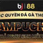 trangdagatructiep profile picture