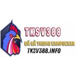 SV388 TK profile picture