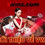 vwinlivve vnn profile picture