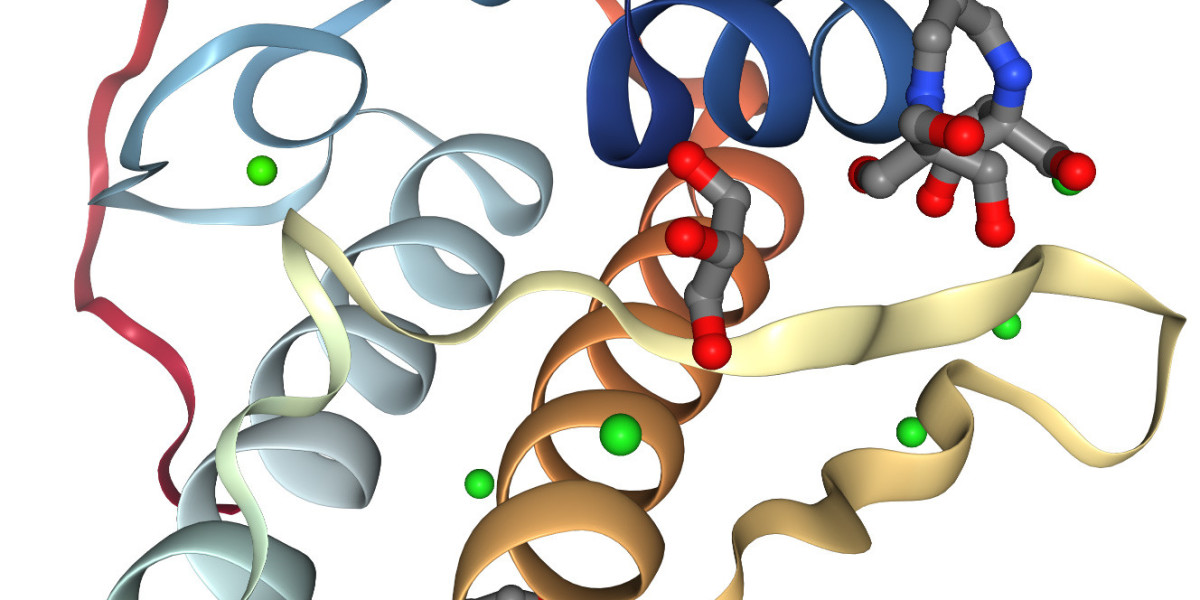 Phospholipase Enzyme Market Size, Industry Research Report 2023-2032