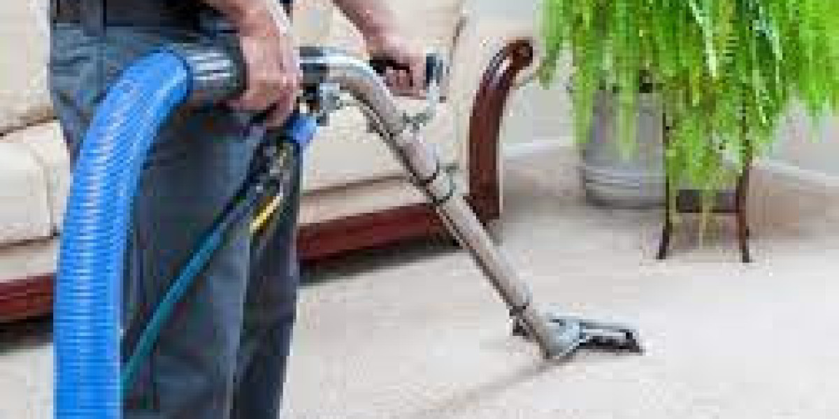 Solving Home Hygiene with Carpet Cleaning Services