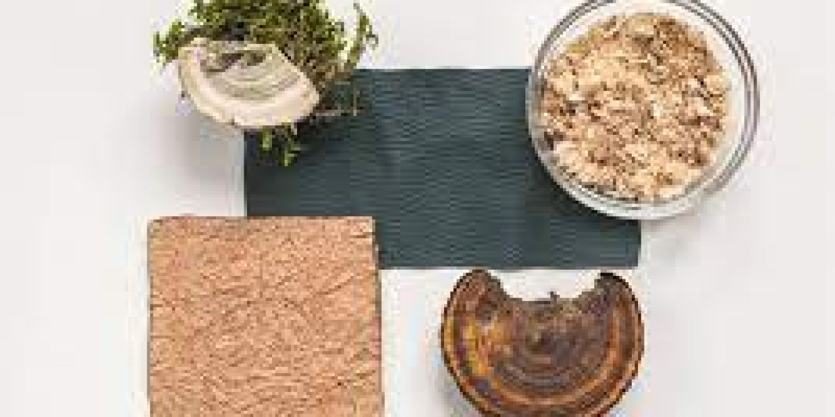 Bio-based leather Market 2023 Overview, Growth Forecast, Demand and Development Research Report to 2031