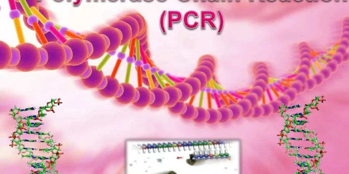 Polymerase Chain Reaction Market Share, Global Industry Analysis Report 2023-2032