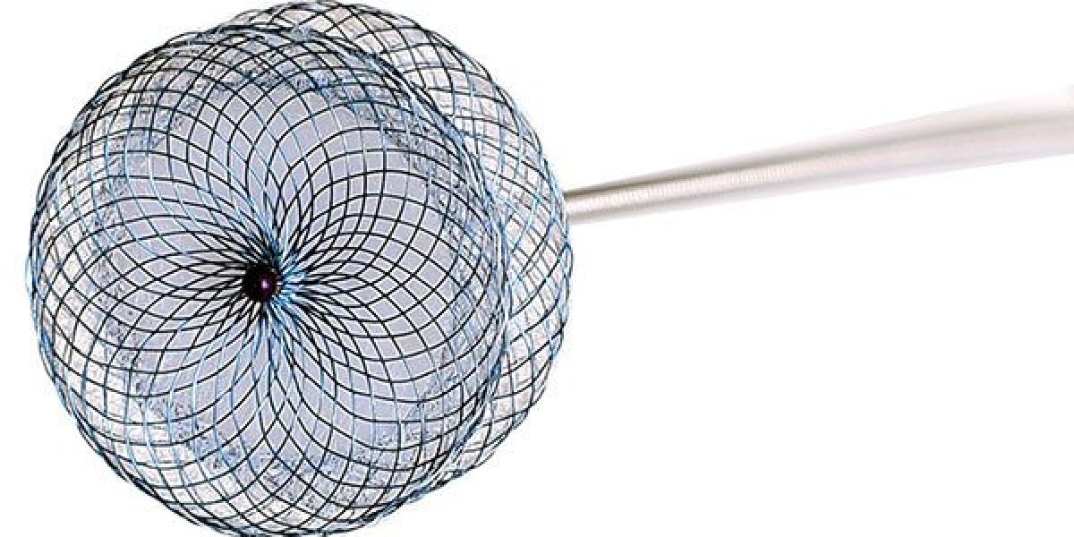 Medical Occluder Device Market Size, Status, Growth | Industry Analysis Report 2023-2032