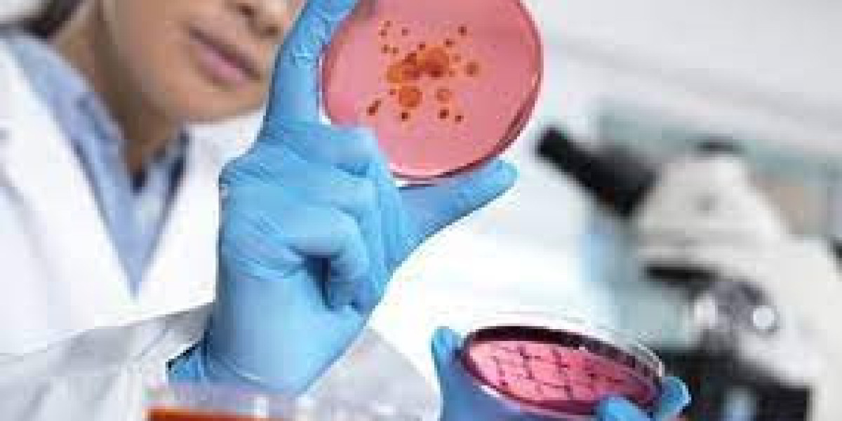 Global Bioburden Testing Market Report, Latest Trends, Industry Opportunity & Forecast