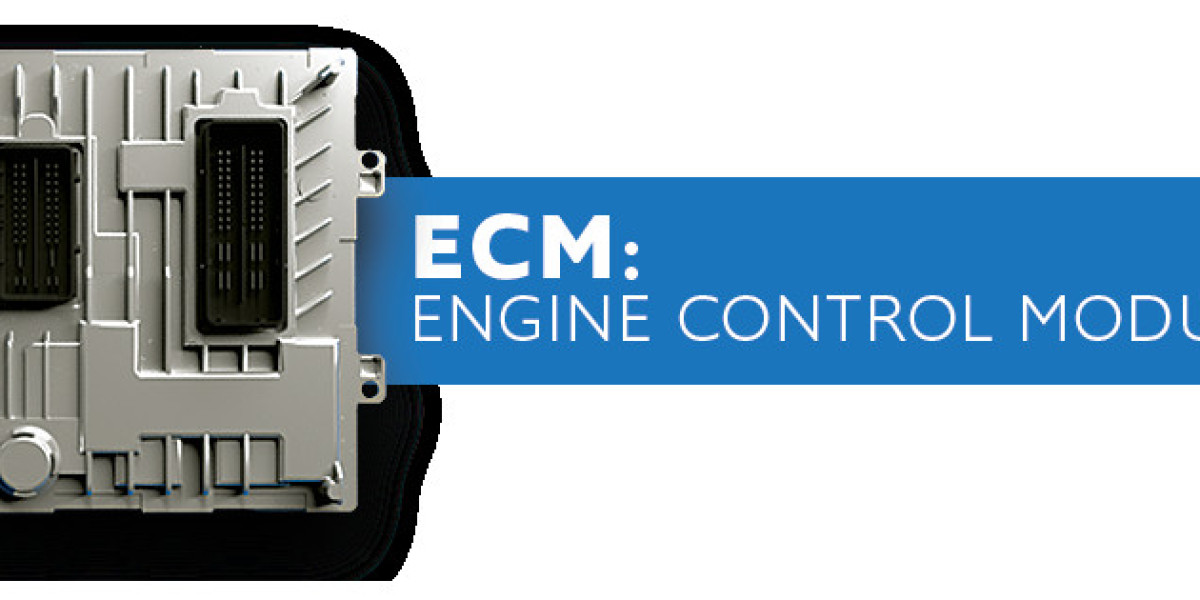 Engine Control Modules Market Share, Global Industry Analysis Report 2023-2032