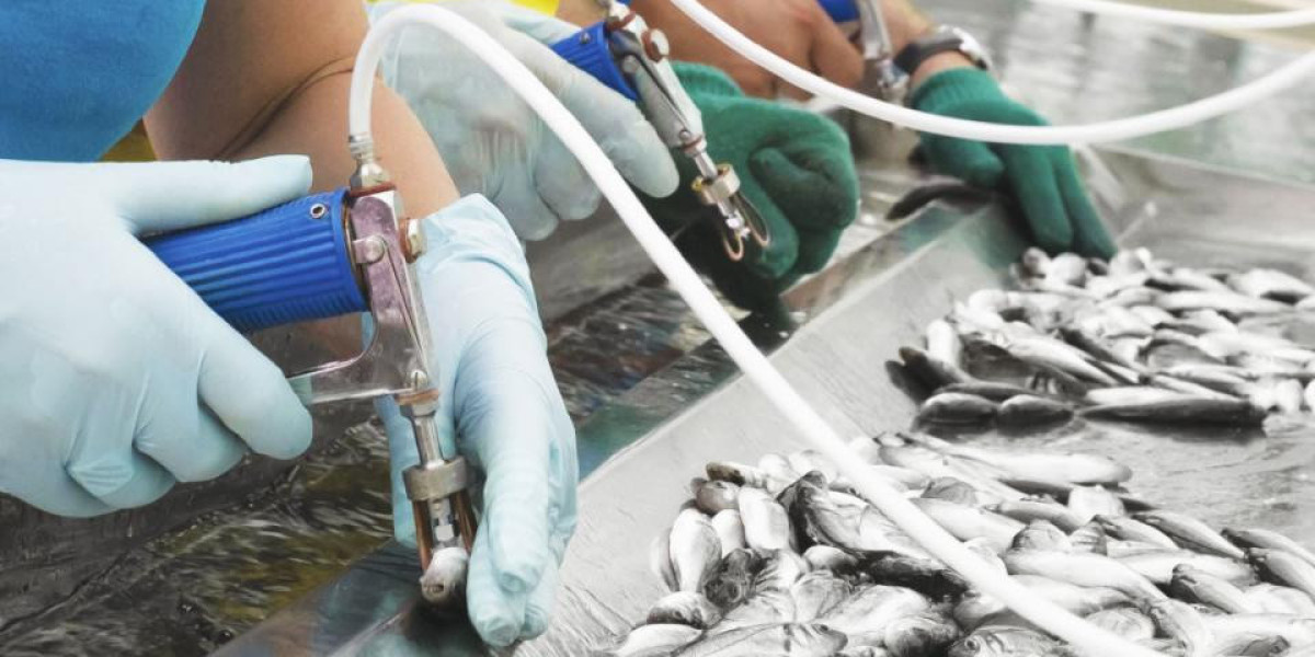 Aquaculture Vaccines Market 2023 Major Key Players and Industry Analysis Till 2032