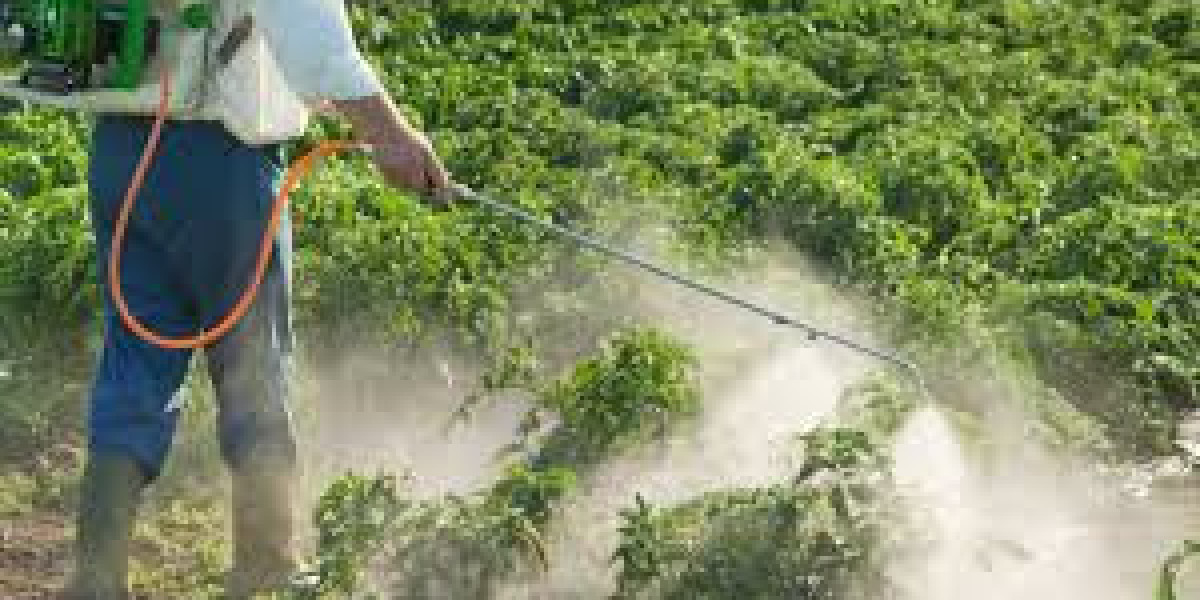 Indonesia crop protection chemicals market  Outlook, Scope and Opportunity 2024-2032