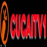 OK CHOI Profile Picture