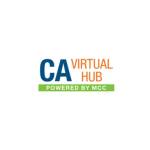 CA Virtual Hub profile picture