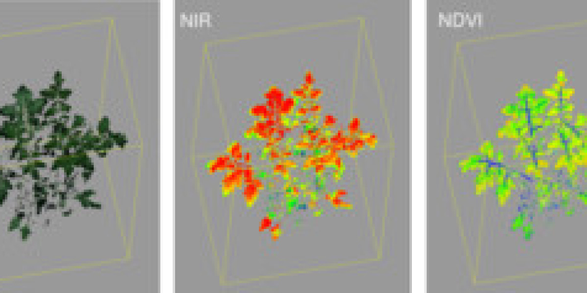 Plant Phenotyping Market Surge to USD 497.4 Million by 2033, With 11% CAGR