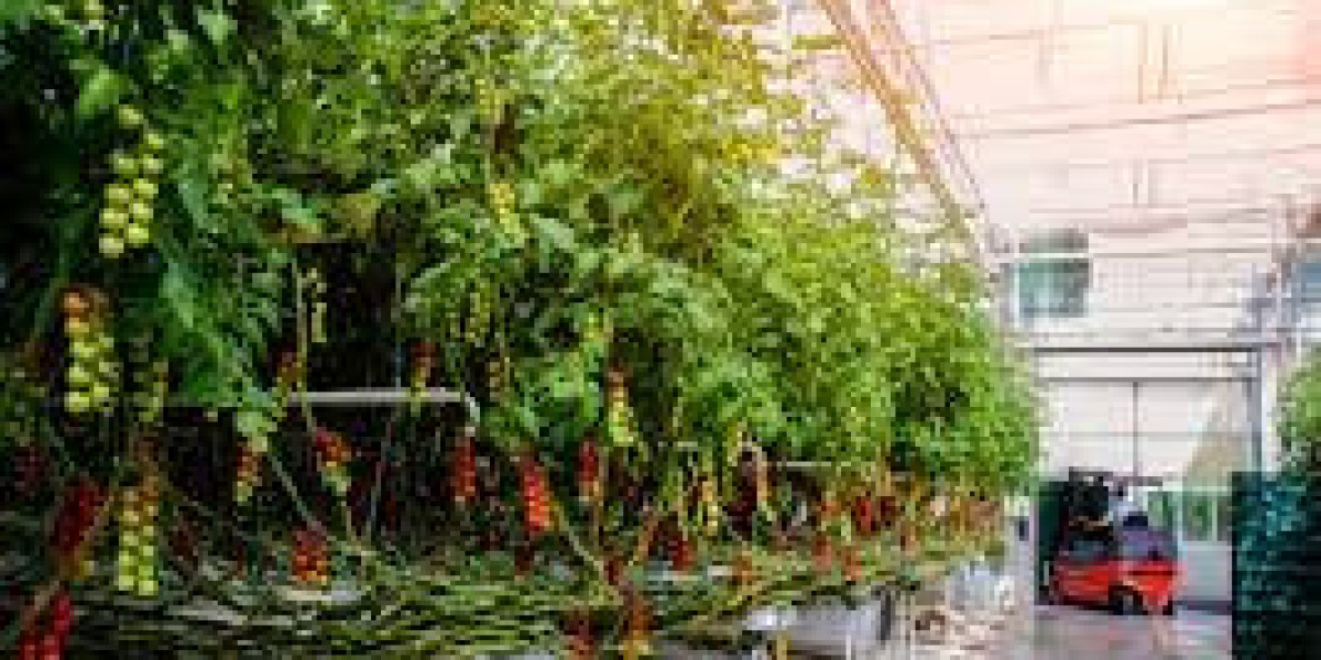 Smart Greenhouse Market Size, Dynamics & Forecast Report