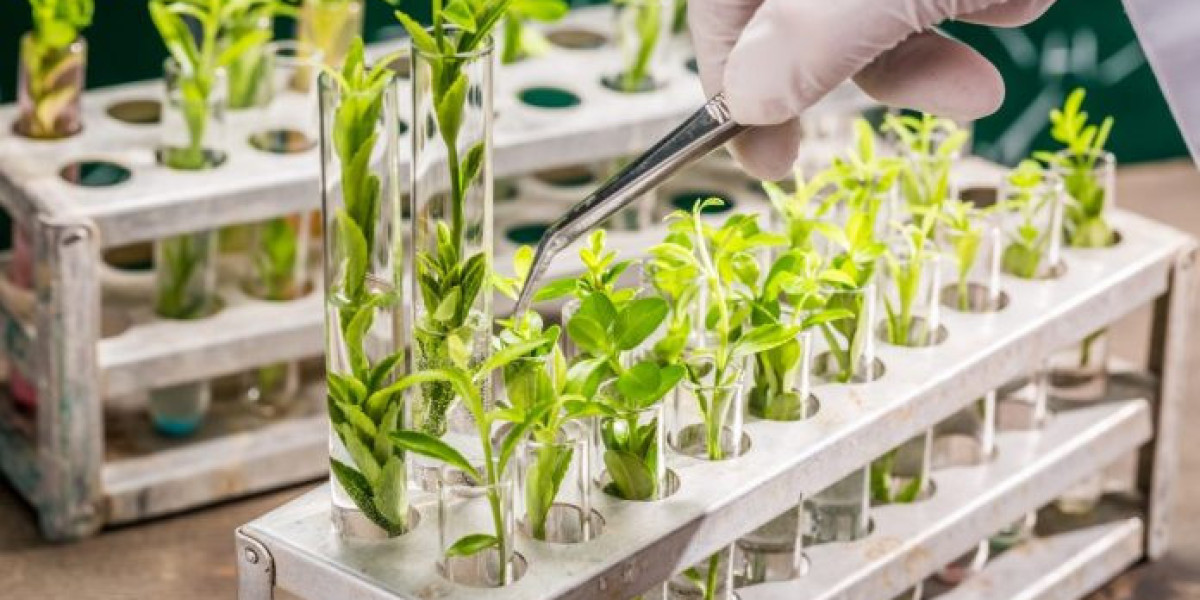 Meticulous Research® Reports: Plant Breeding Market Projected to Reach $33.79 Billion by 2029