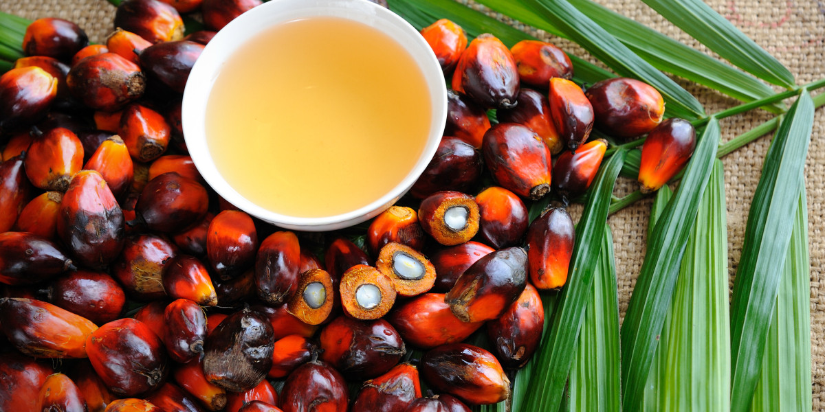 Global Palm Oil Market Report, Latest Trends, Industry Opportunity & Forecast